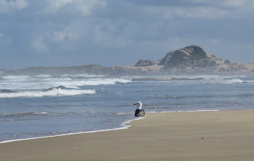 Praia da Teresa - Surferstrand