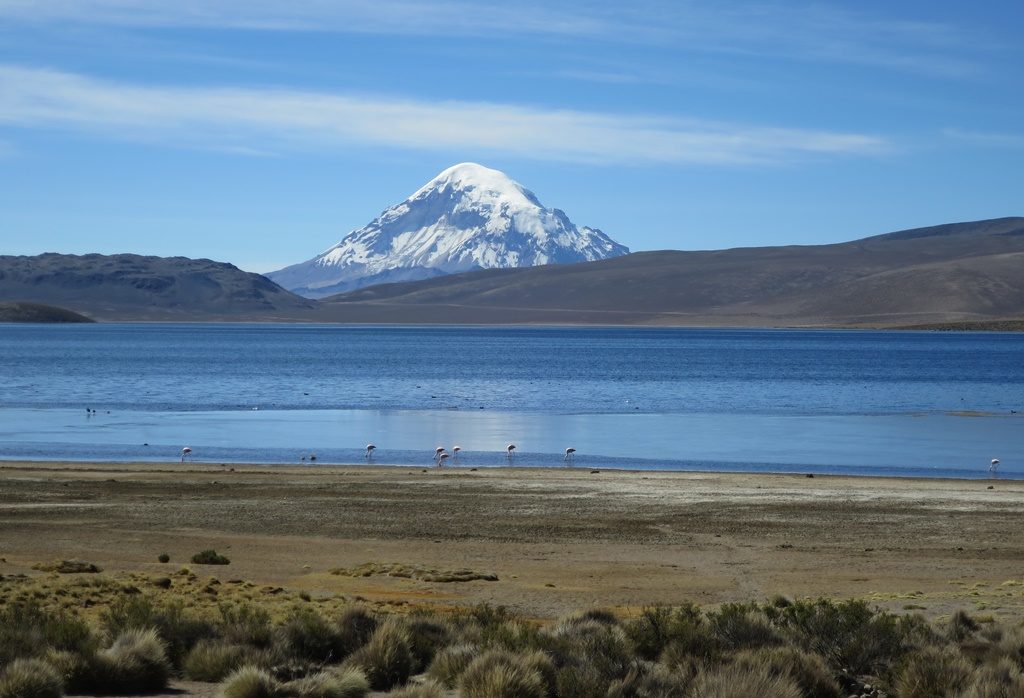 Lauca Nationalpark - Vulkan Sajama (6542 M.ü.M.)