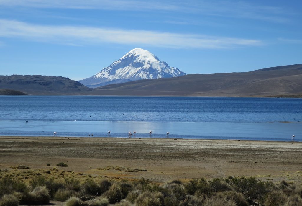 Lauca Nationalpark - Vulkan Sajama (6542 M.ü.M.)