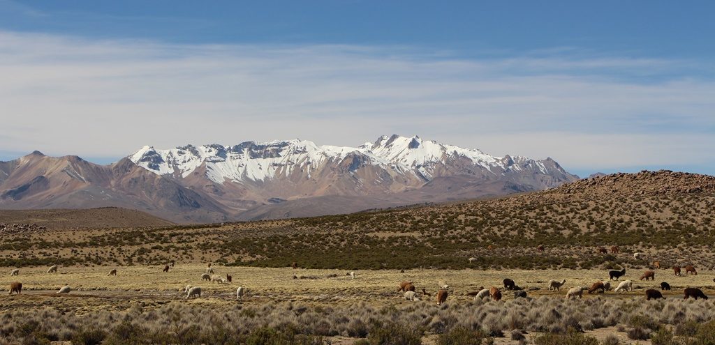 Lauca Nationalpark