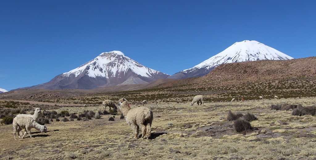 Lauca Nationalpark