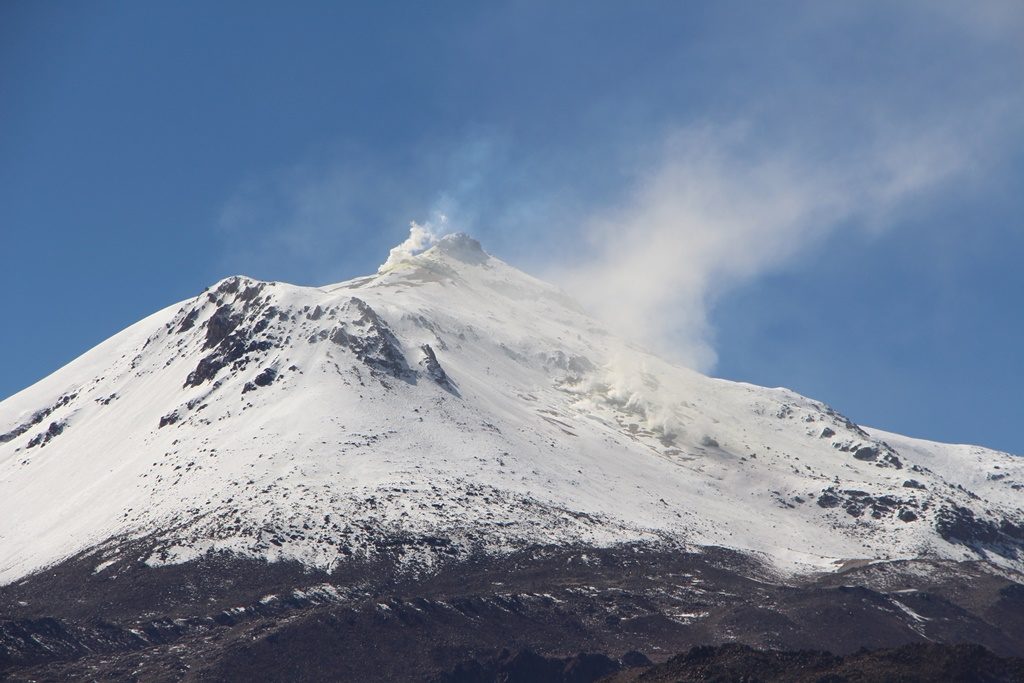 Reservat de Vicuñas - Vulkan Guallatiri (6063 M.ü.M.)