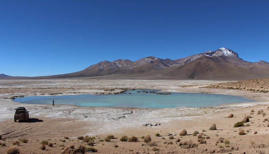 Salar de Surire - Reservat de Vicuñas