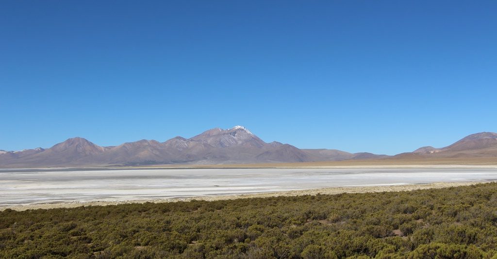 Salar de Surire - Reservat de Vicuñas