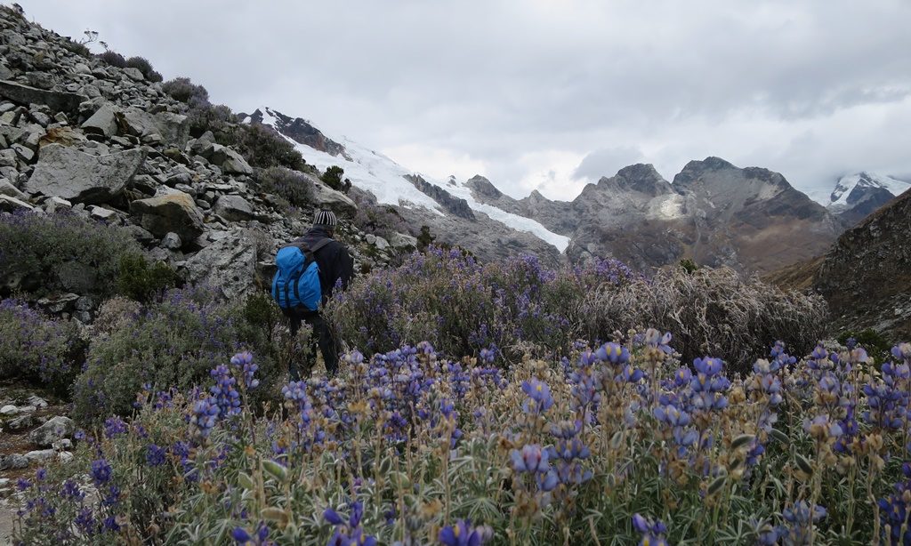 Wanderung zur Laguna 69