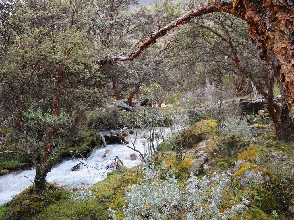 Wanderung zur Laguna 69