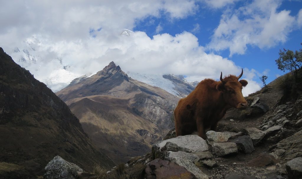 Wanderung zur Laguna 69