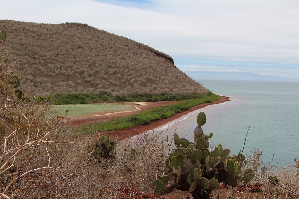 Insel Ràbida