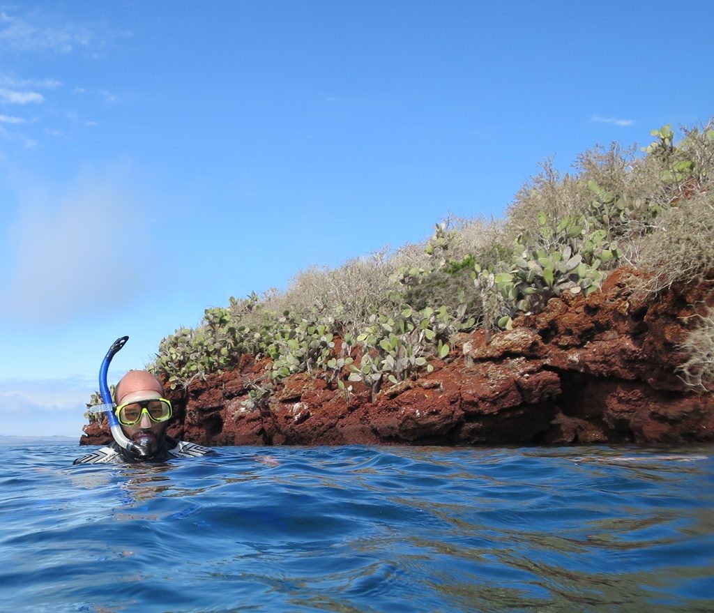 Schnorcheln bei Isla Santiago / Puerto Egas