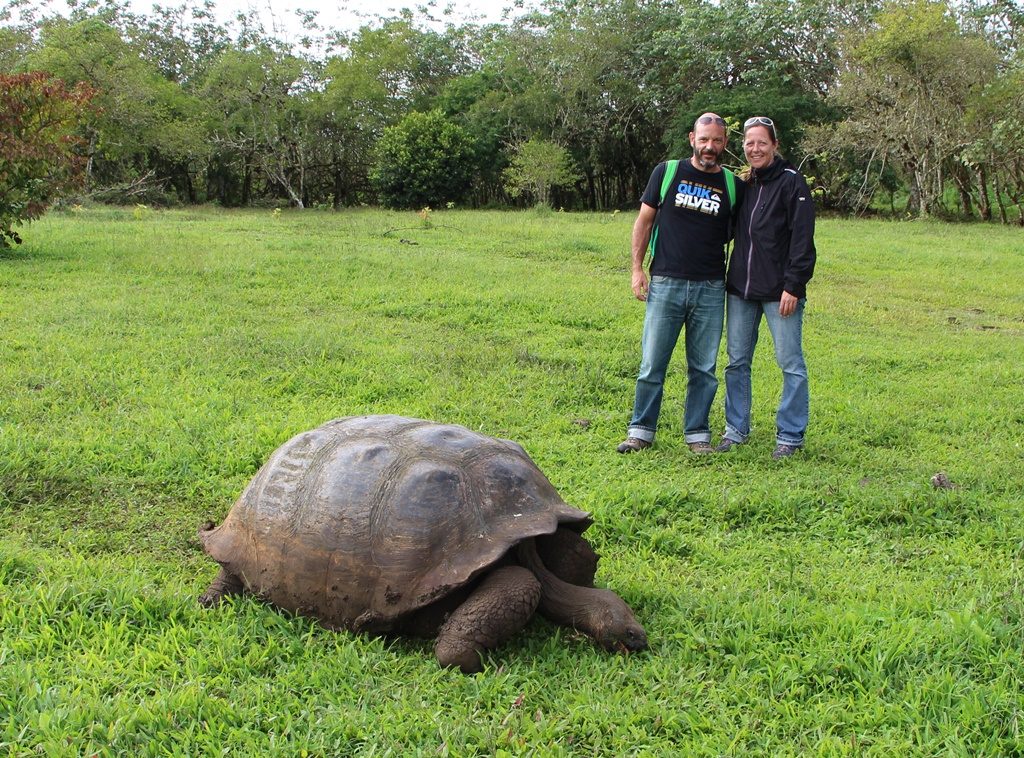 Riesen-Landschildkröte - Isla Santa Cruz 