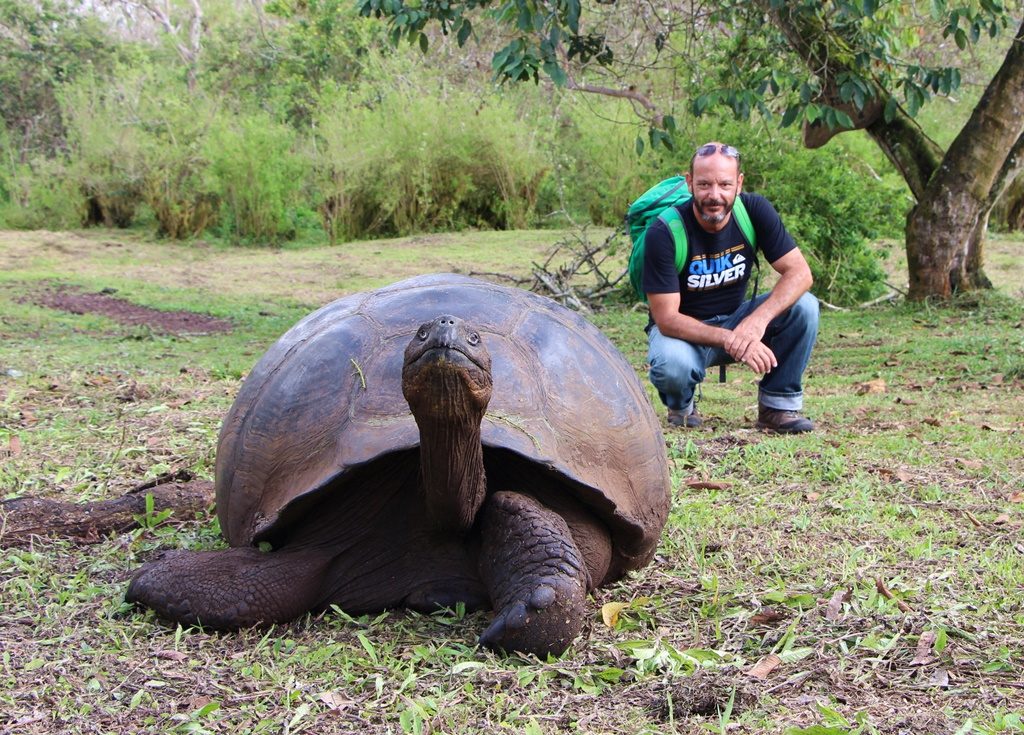 Riesen-Landschildkröte - Isla Santa Cruz 