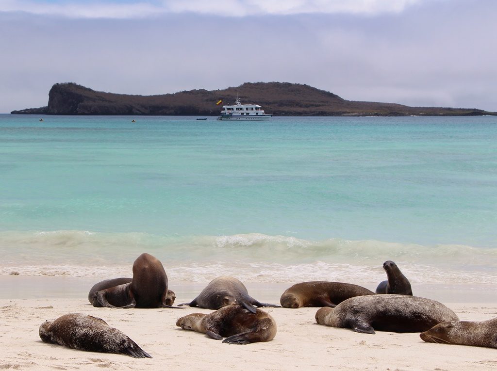 Isla Española / Gardner Bay