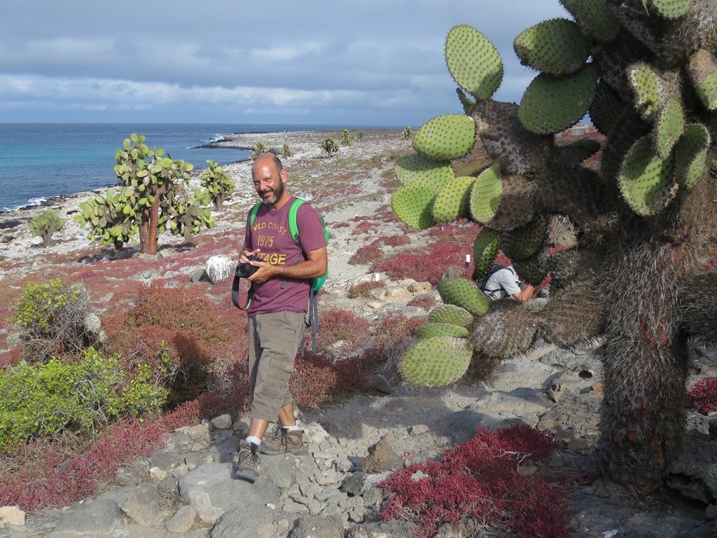 Isla Santa Cruz / South Plaza Islet