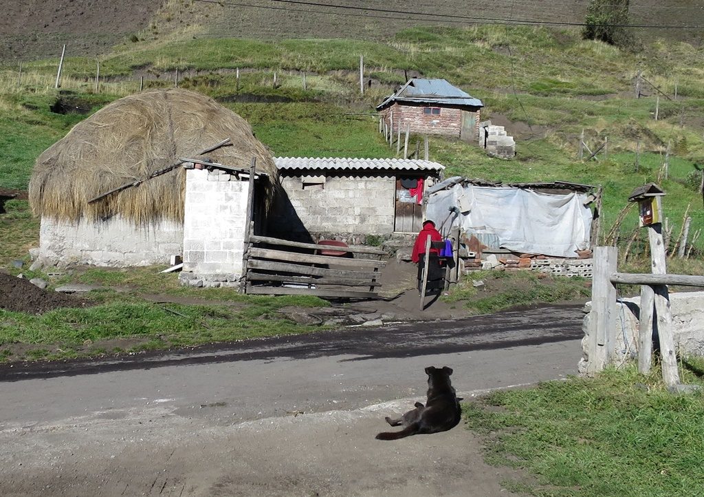 Unsere Nachbarin am Vulkan Chimborazo