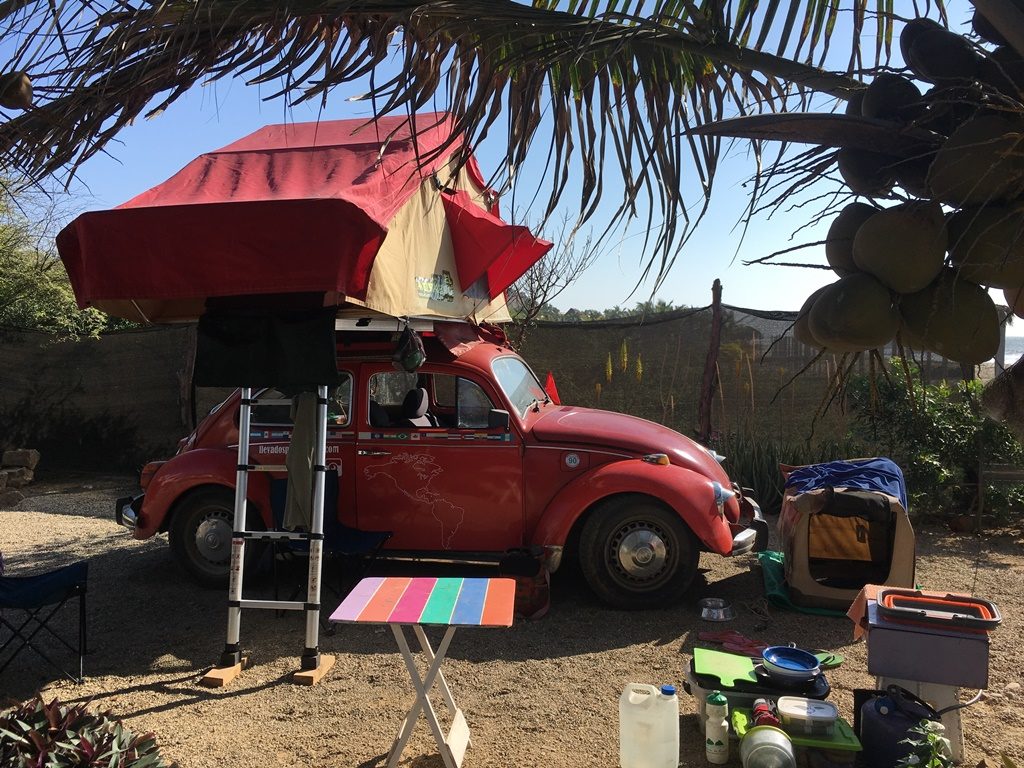 VW Käfer mit Dachzelt und Hund auf der Rückbank (Peru)